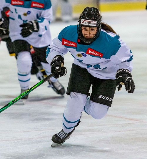 Lakers-Eishockey-Voting-Wolfgang-Handler-02-500-540