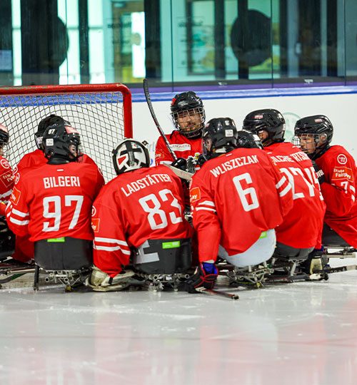 Para-Eishockey-Voting-Wolfgang-Handler-02-500-540