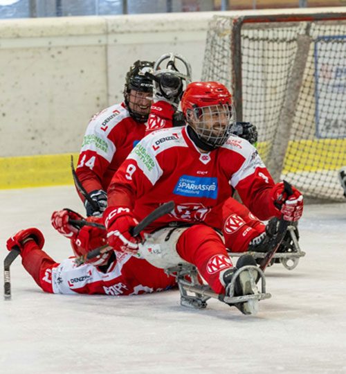 Para-Eishockey-Voting-Wolfgang-Handler-500-540
